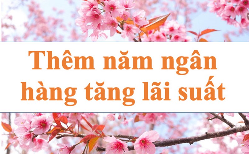 Nhiều ngân hàng tiếp tục tăng lãi suất. Đồ họa: Hà Vy