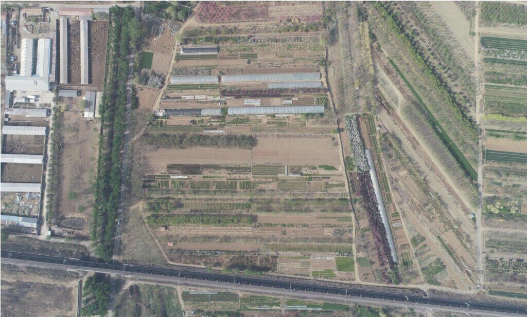 Khu mộ cổ mới phát hiện ở Trung Quốc. Ảnh chụp màn hình Thời báo Hoàn cầu 