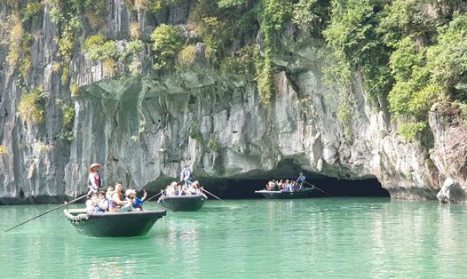 Du khách tham quan hang Luồn, vịnh Hạ Long. Ảnh: Nguyễn Hùng