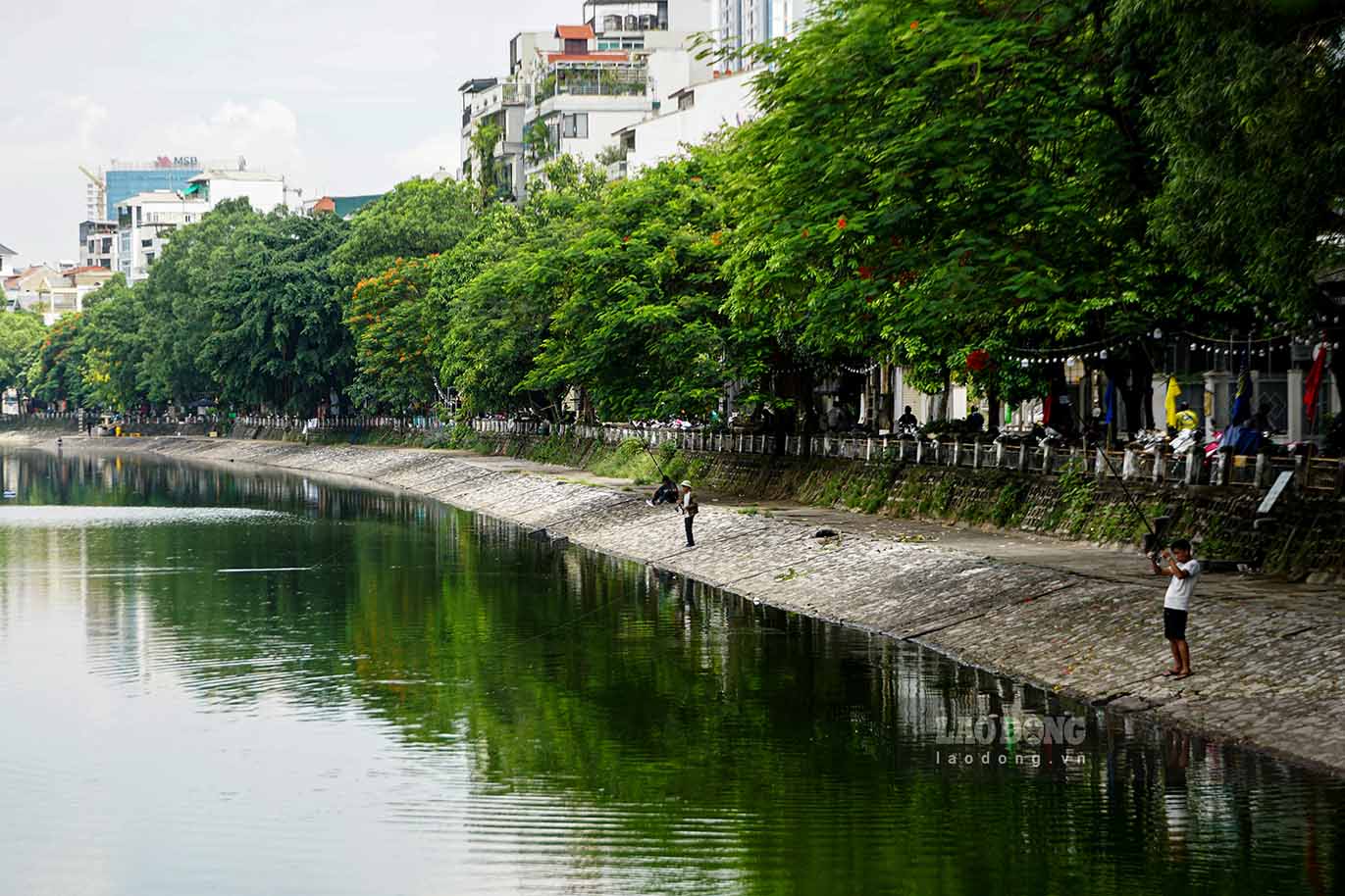 Về phương án cải tạo, ông Nguyễn Thanh Tùng - Phó Chủ tịch UBND quận Đống Đa - cho biết, ngày 31.10.2023, HĐND quận Đống Đa đã phê duyệt chủ trương đầu tư, giao cho Ban QLDA ĐTXD quận làm chủ đầu tư tại Nghị quyết số 20/NQ-HĐND.