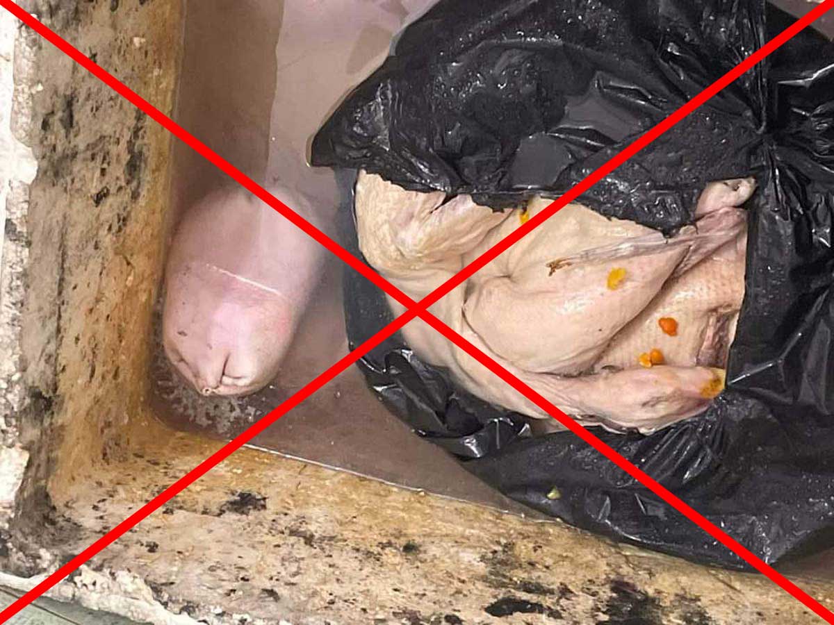 Vịt có giòi để cạnh bồn cầu ở Quảng Ninh do em rể tung tin sai sự thật. Ảnh: Người dân cung cấp