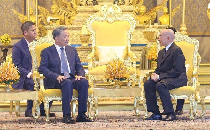 Chủ tịch nước Tô Lâm hội kiến Quốc vương Norodom Sihamoni tại Cung điện Hoàng gia Campuchia. Ảnh: Nhan Sáng/TTXVN