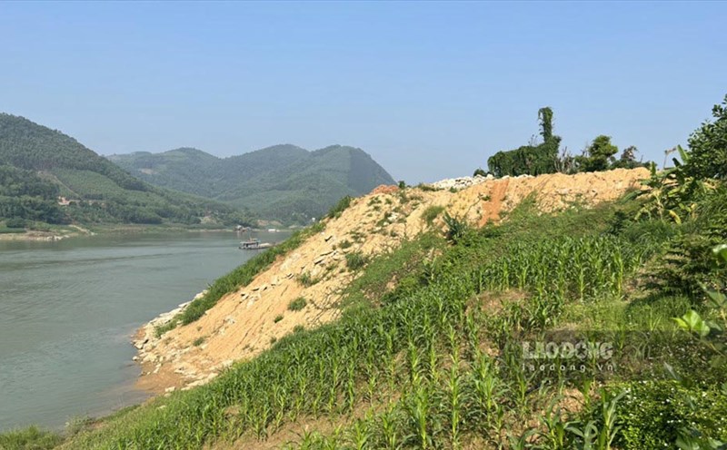 Năm 2019, ông Phạm Văn Lương khi còn là Chủ tịch UBND huyện Sơn Dương đã ký văn bản cho phép doanh nghiệp đổ thải xuống sông Lô với danh nghĩa chống sạt lở.