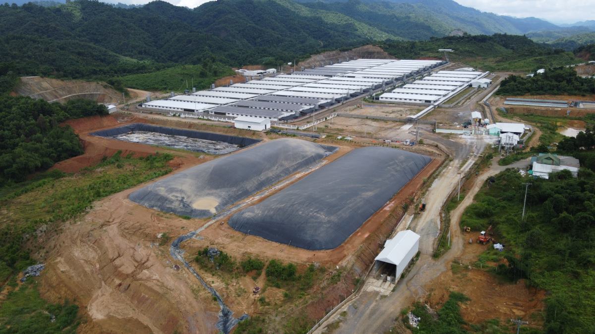 Pig farm (in Tan Phuc commune, Lang Chanh district, Thanh Hoa province). Photo: Quach Du