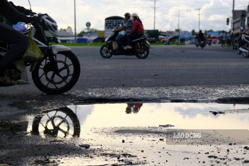 It is known that the Ministry of Transport has submitted a proposal to the Government for approval of the investment policy for the project to upgrade and renovate 3 national highways (53, 62, 91B) in the Mekong Delta, with a total investment of over 9,300 billion VND.