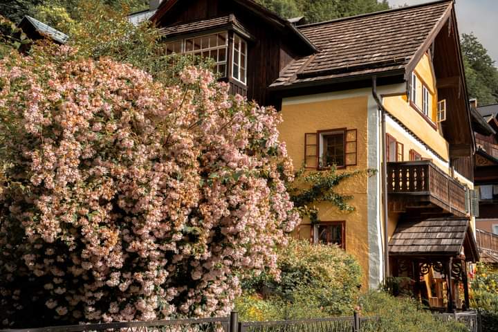 Ở Hallstatt, các ngôi nhà đều dựa lưng vào núi, mặt hướng ra hồ Hallstatt See. Ngôi nhà ở đây lưu giữ dấu tích kiến trúc thời Trung cổ, cùng cách trang trí đậm chất phương Tây. “Với những ngôi nhà gỗ xinh xắn, mái ngói đỏ rực rải rác trên những con đường nhỏ lát đá, kiến trúc Hallstatt như đưa tôi vào thế giới cổ tích”, anh Đức Vũ kể. 