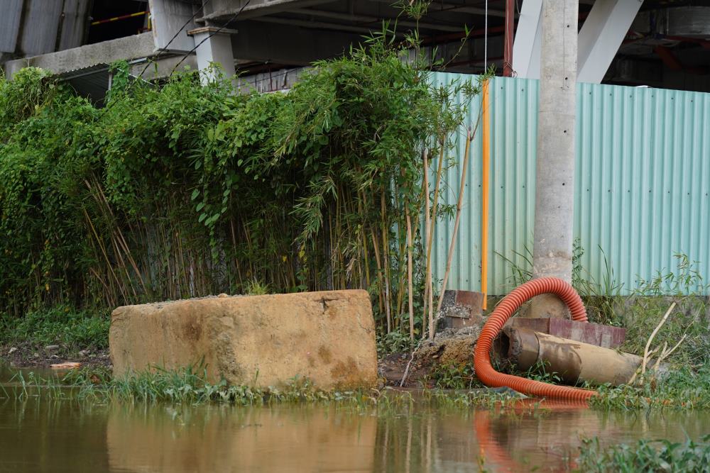 Outside the building, water stagnates in large puddles, and grass and trees grow luxuriantly.