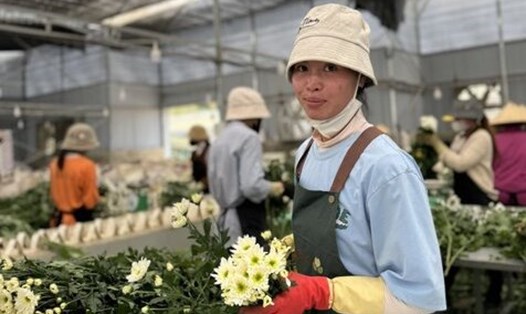 LĐLĐ huyện Lạc Dương có 51 Công đoàn cơ sở trực thuộc, với 1.171 đoàn viên/1.195 công nhân viên chức lao động. Ảnh: Thanh Loan