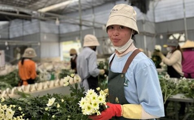 LĐLĐ huyện Lạc Dương có 51 Công đoàn cơ sở trực thuộc, với 1.171 đoàn viên/1.195 công nhân viên chức lao động. Ảnh: Thanh Loan