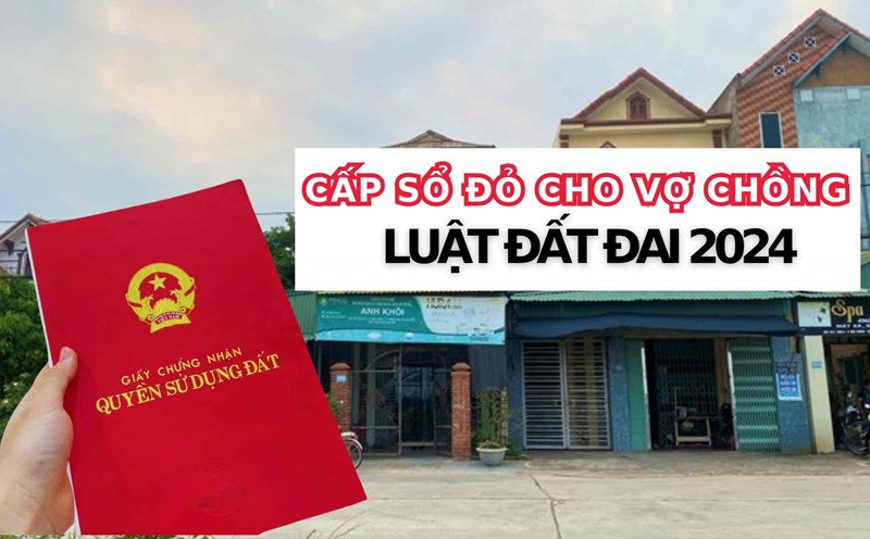 Thiết kế: Trần Hương