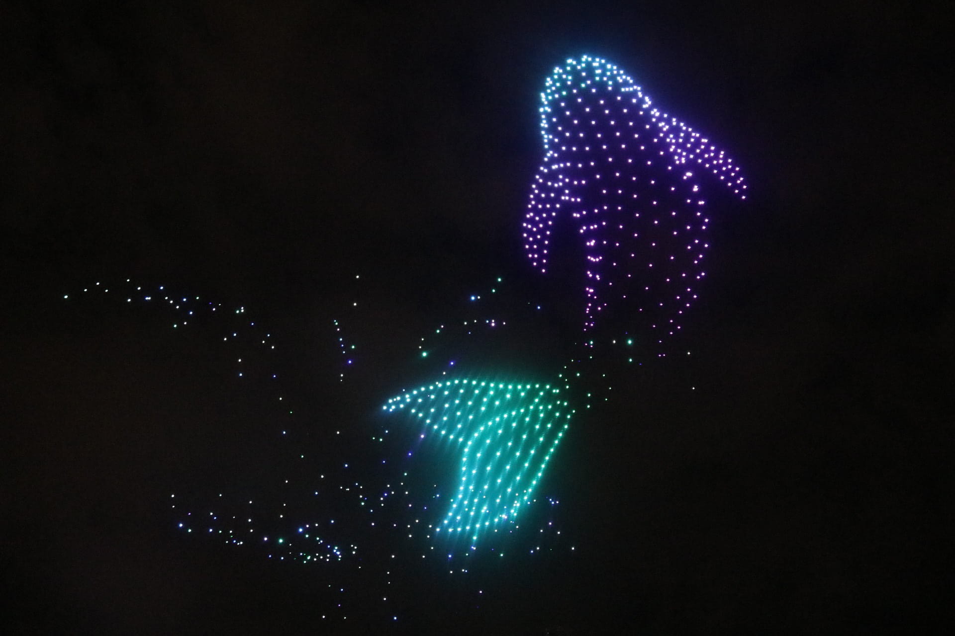 Dolphins and whales perform in the Chinese team's competition. Photo: Thanh Thuy