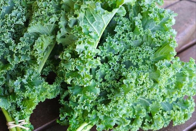 Le Cai xoan est l'un des legumes riches en fibres bons pour la perte de poids afin de favoriser la reduction de l'acide urique. Photo : Nghia Thanh