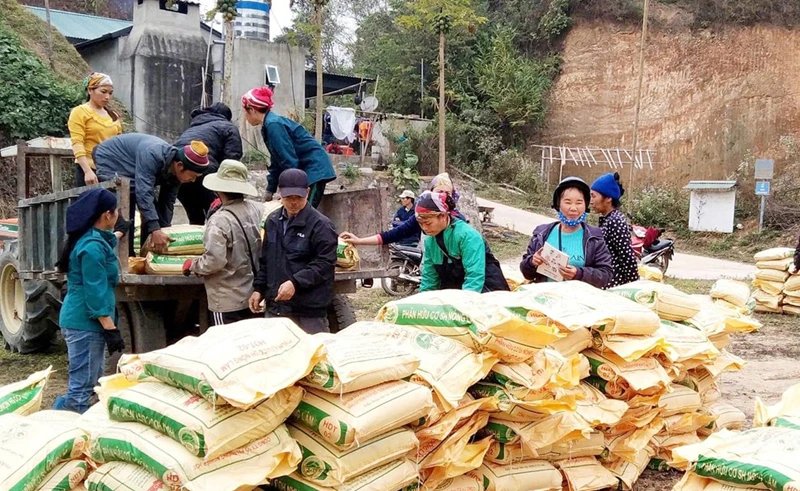 Nguoi dan xa Trung Hoa, huyen Ngan Son nhan phan bon ho tro san xuat. Anh: Thu Trang