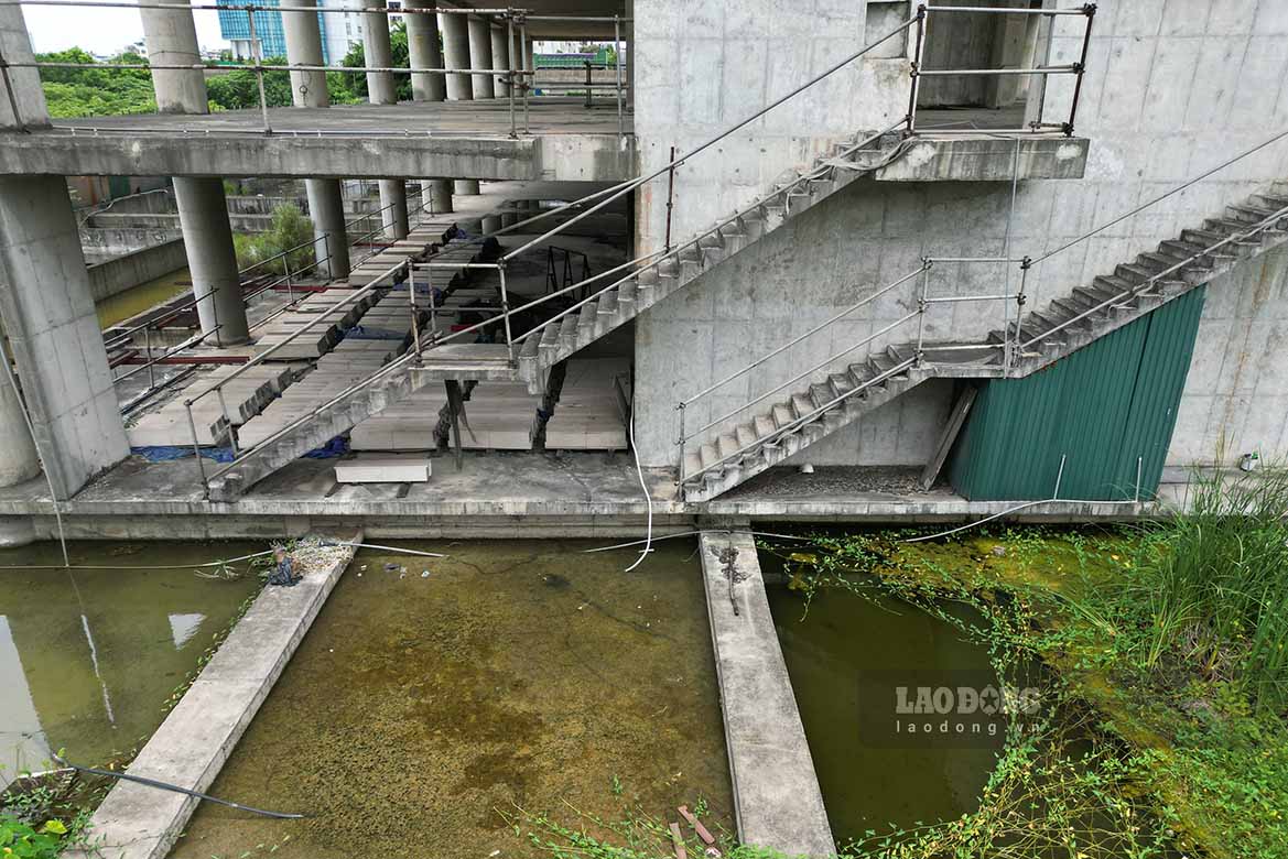 Some items show signs of deterioration and are covered with moss.