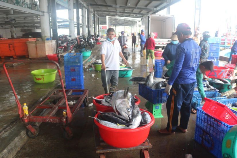 Khanh Hoa s'efforce de retirer l'avertissement 'Carte d'or' IUU lors de la 5e inspection par l'equipe d'inspection de la CE. Photo : Huu Long