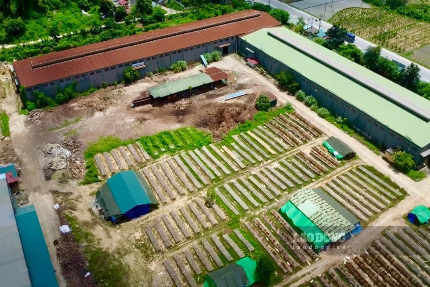 Khói bụi, nước thải từ hoạt động của xưởng gỗ bên trong khuôn viên nhà máy ô tô bỏ hoang tiềm ẩn nguy cơ ô nhiễm môi trường. Ảnh: Việt Bắc