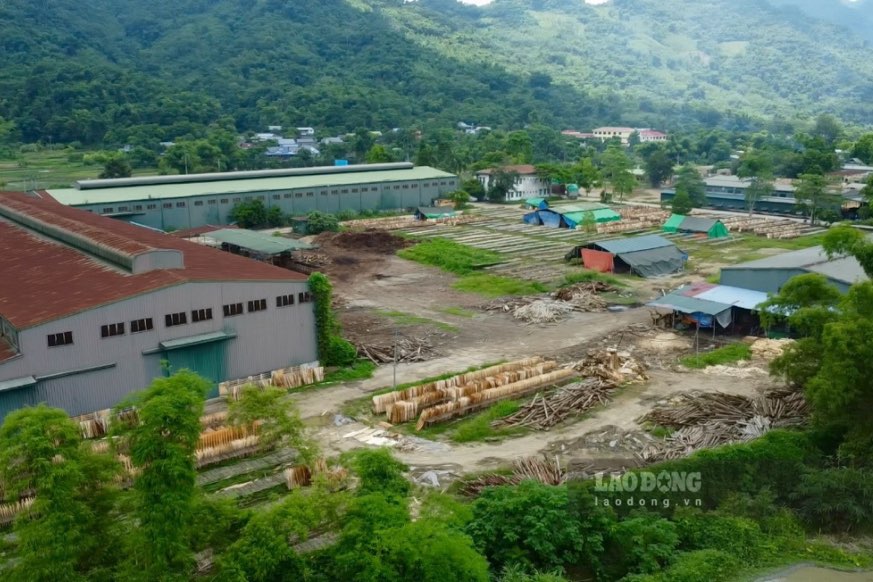 The operation of the wood workshop near residential areas affects the lives of dozens of households. Photo: Viet Bac.