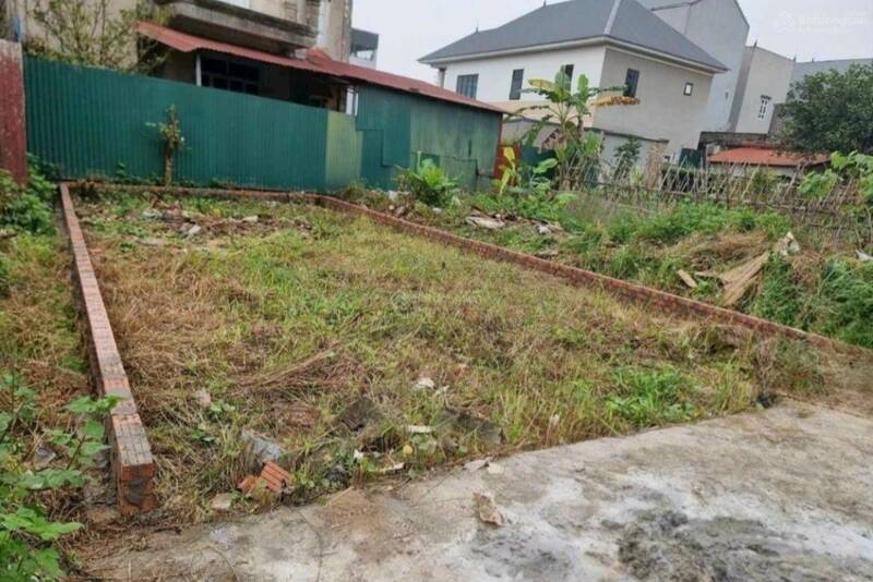 Lô đất nền ở huyện Đông Anh (Hà Nội) đang được rao bán gần 5 tỉ đồng/lô. Ảnh: Batdongsan.com.vn