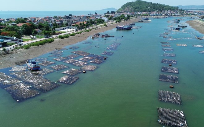 There are so many mussel farming rafts in the Lach Bang river area that boats and ships have no place to stay. Photo: Minh Hoang