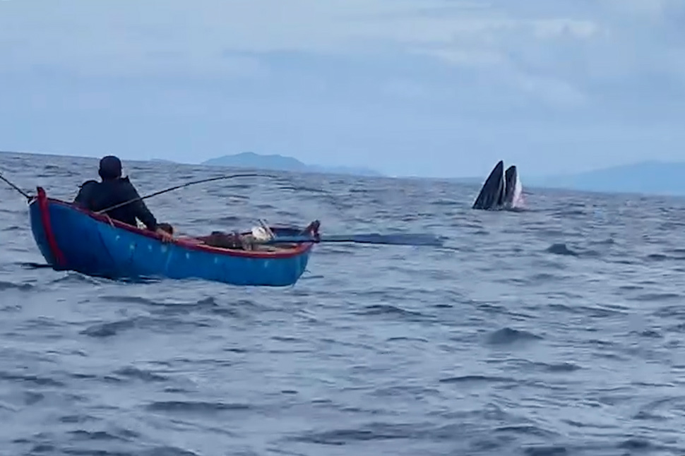 Hoai Hai Waters (Hoai Nhon Town)에서 고래 사냥 장면. 클립에서 사진 컷