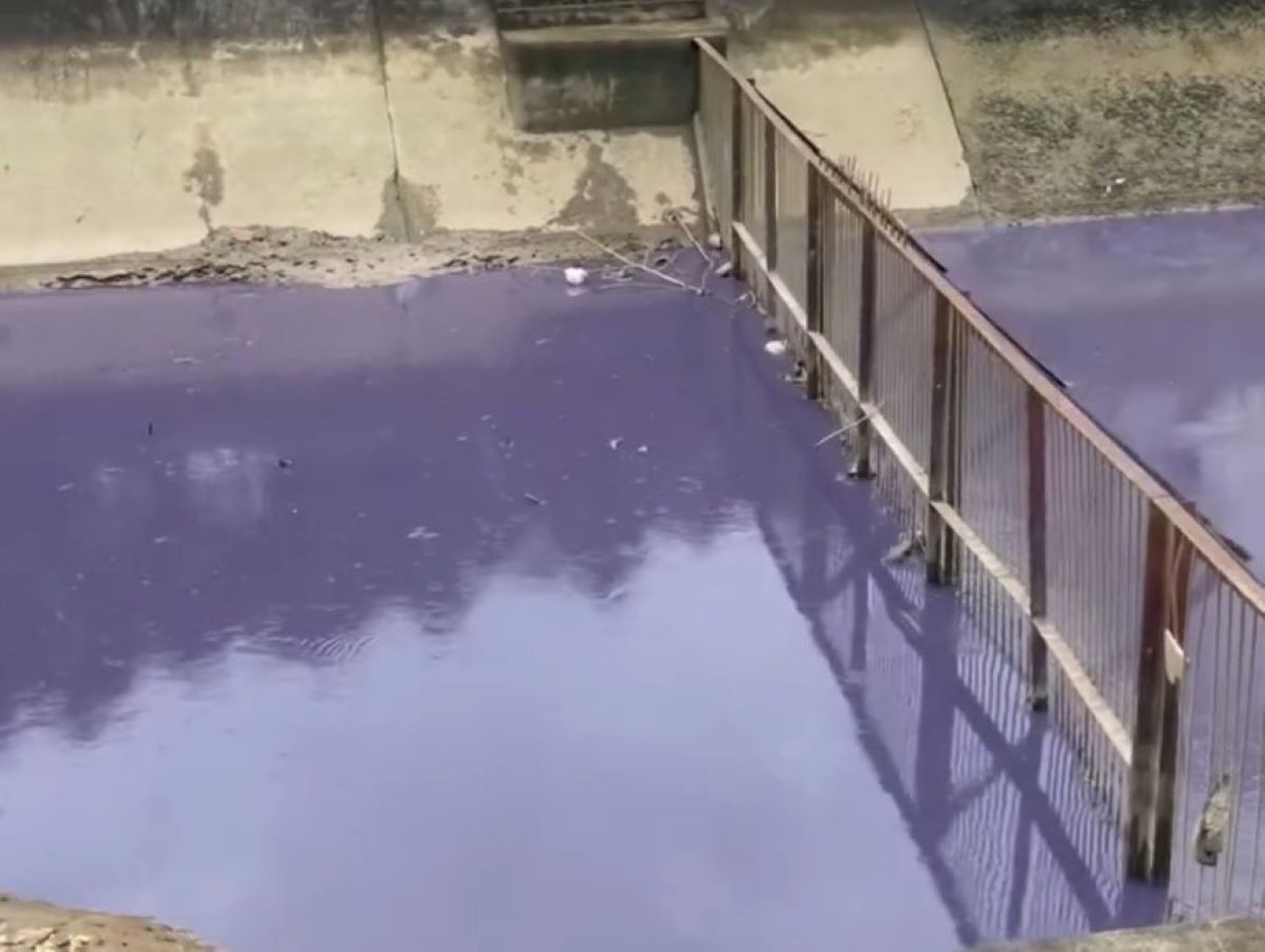 The water channel suddenly turned purple. Photo: Cut from clip