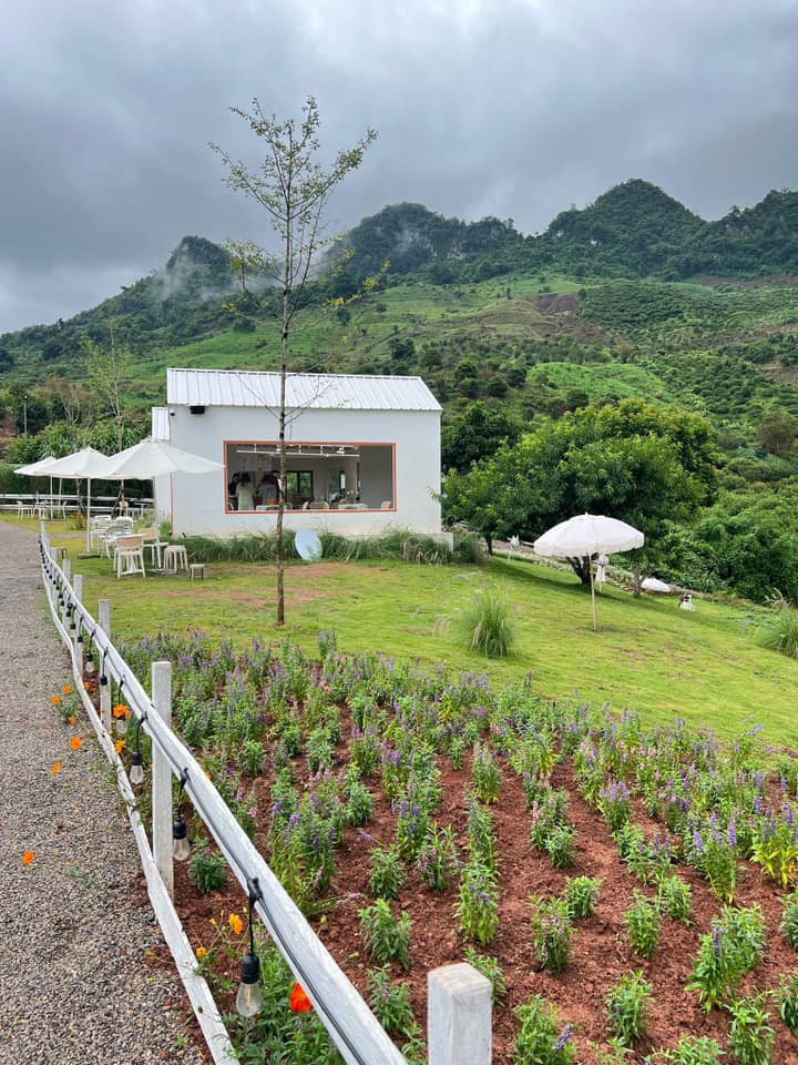 Tourists are willing to return to Moc Chau many times to discover new fun places. Photo: Ly Tran