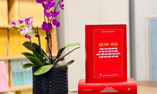 Cuốn sách của Tổng Bí thư Nguyễn Phú Trọng về "Quốc hội trong tiến trình đổi mới đáp ứng yêu cầu xây dựng, hoàn thiện Nhà nước pháp quyền xã hội chủ nghĩa Việt Nam" vừa được xuất bản. Ảnh: T.Vương