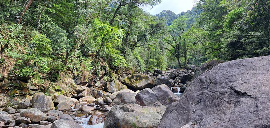 Amazing nature in the core area of ​​Vu Quang National Park. Photo: Le Van Vy