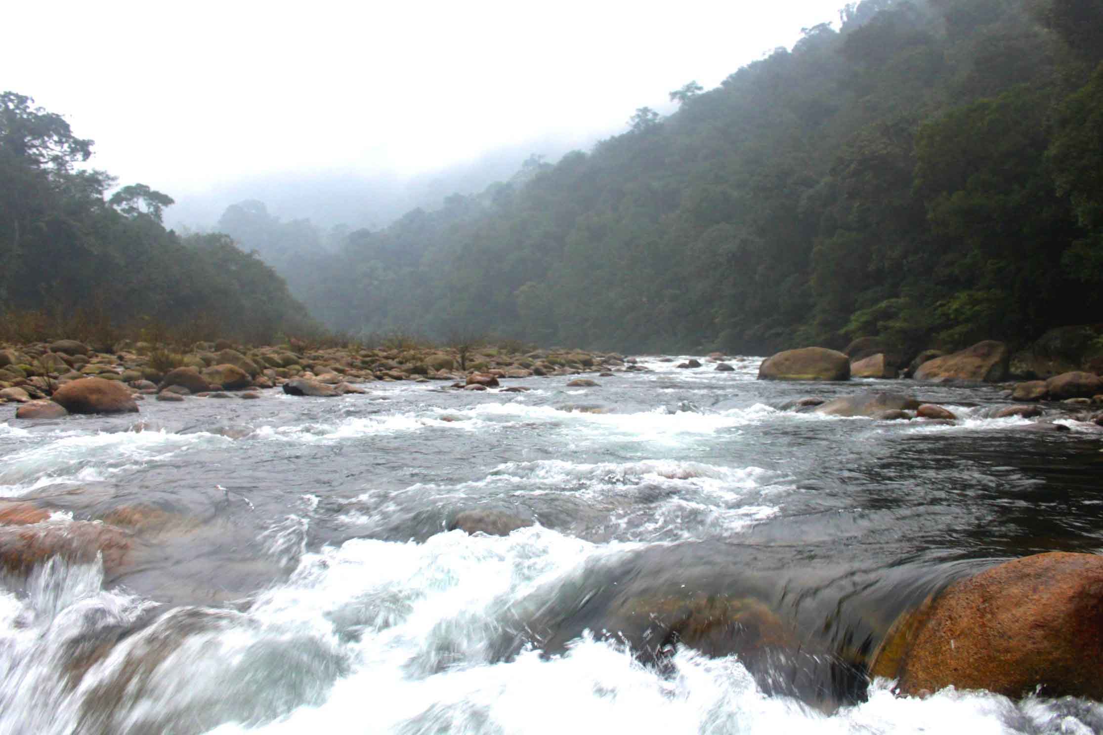 The amazing beauty of Vu Quang National Park. Photo: Le Van Vy