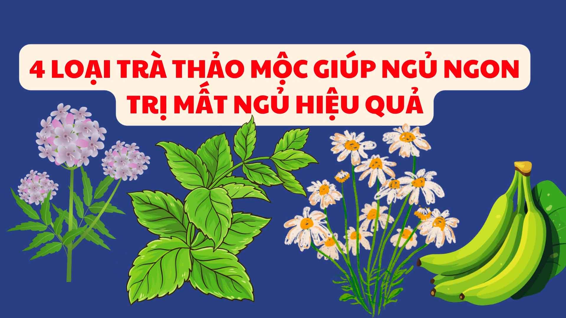 4 loại trà thảo mộc giúp ngủ ngon, trị mất ngủ hiệu quả