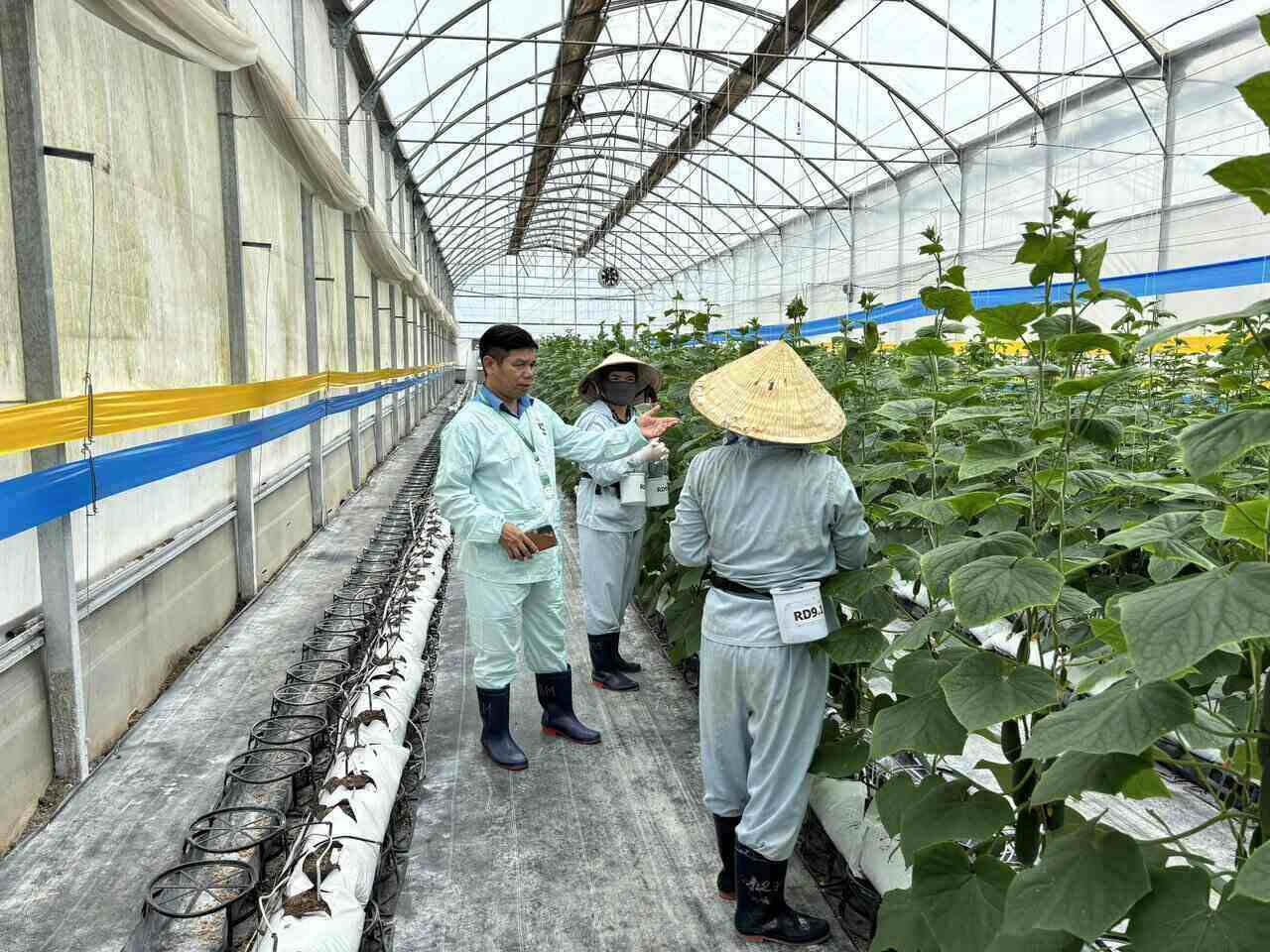 Workers in Lam Ha district are always concerned about by the Trade Union at all levels. Photo: Mai Huong