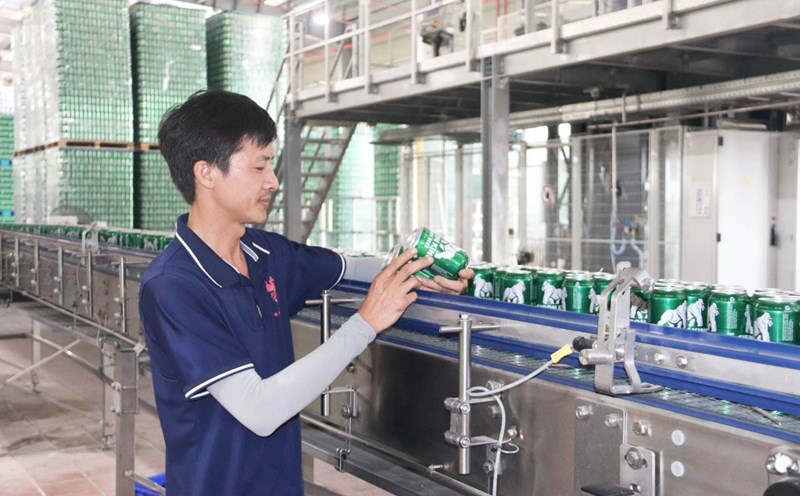 Cán bộ kỹ thuật Nhà máy Bia Sao Vàng -  Công ty Cổ phần Tập đoàn Hoành Sơn kiểm tra sản phẩm trước khi xuất xưởng. Ảnh: Quang Đại