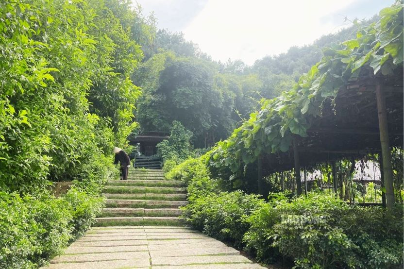 Buddhists take care of the fruit garden in the temple.