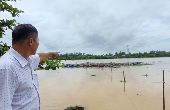 Cá lồng, cá sông chết tại Quảng Trị có liên quan gì đến dòng nước đen trên sông Sa Lung?