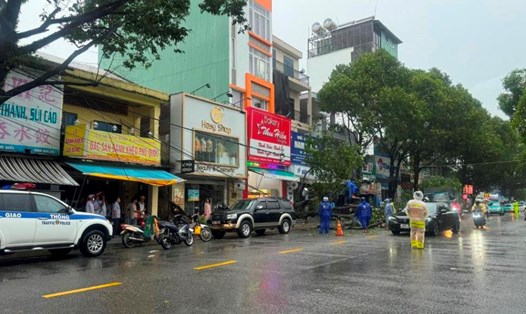 Hiện trường cây bật gốc sau trận mưa dông ở khu vực đường 30.4 phường Dương Đông, TP Phú Quốc. Ảnh: CTV