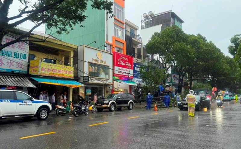 Hiện trường cây bật gốc sau trận mưa dông ở khu vực đường 30.4 phường Dương Đông, TP Phú Quốc. Ảnh: CTV