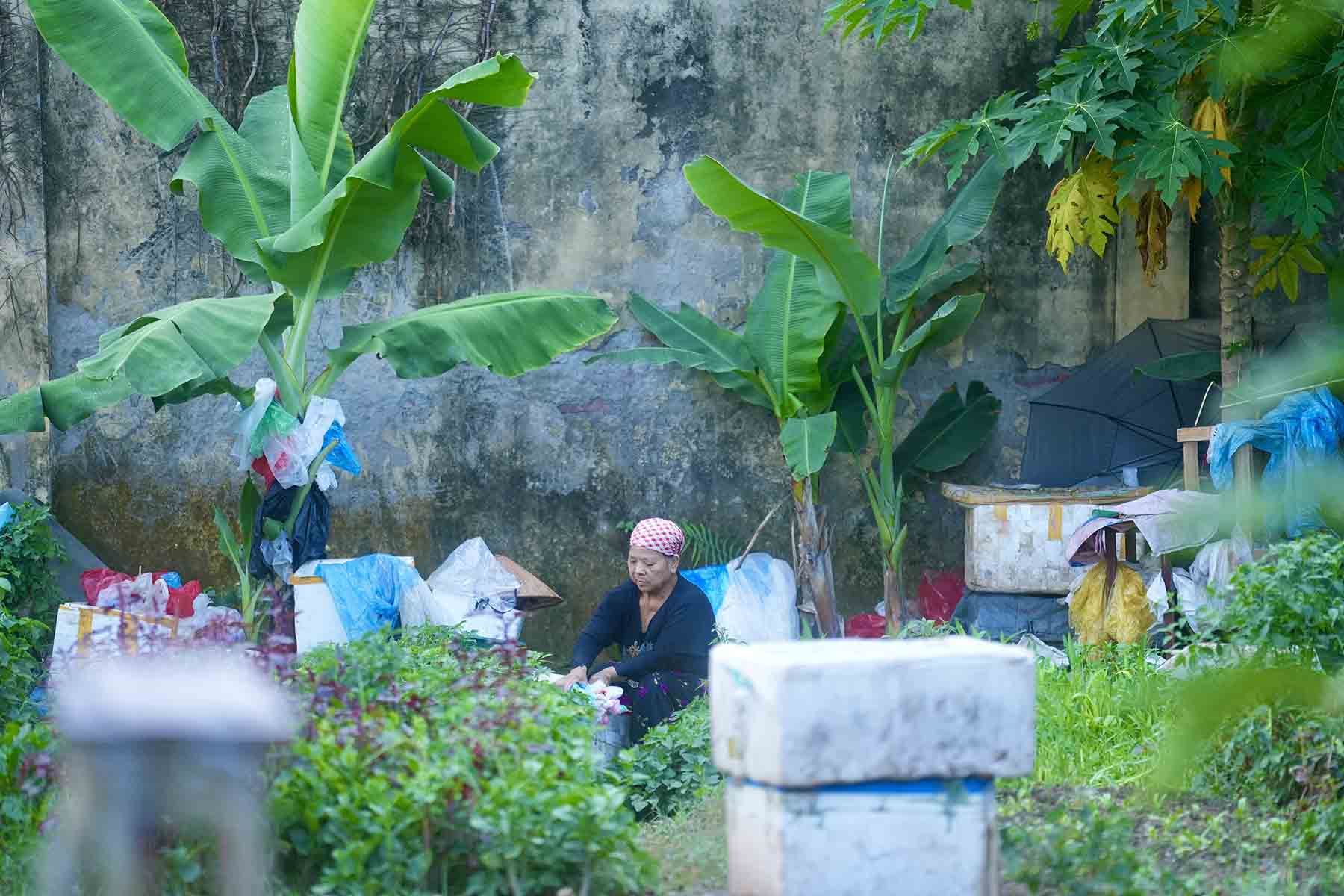 People take advantage of abandoned land to grow vegetables.