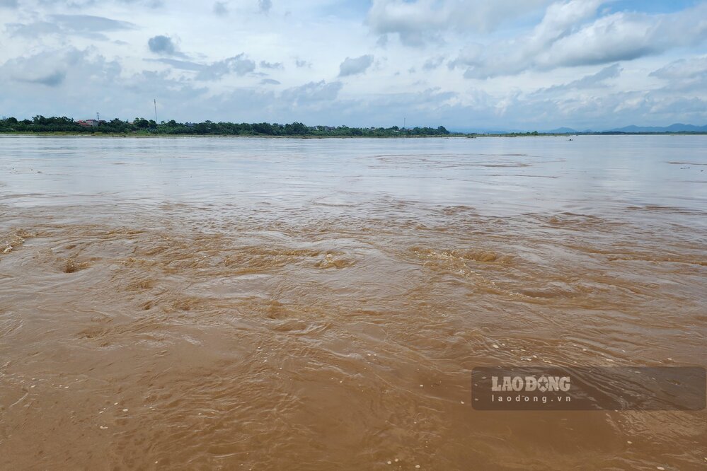 The water of the Red River is turbid, flowing fast, many whirlpools appear. Photo: To Cong.