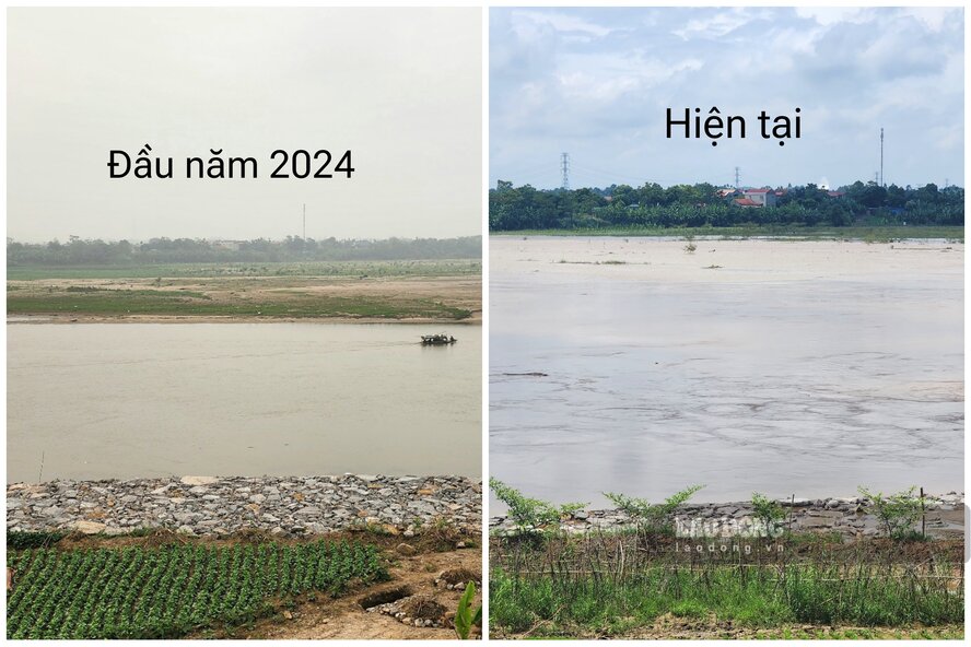 Mực nước sông Hồng đã lên rất cao so với đầu năm 2024. Ảnh: Tô Công.