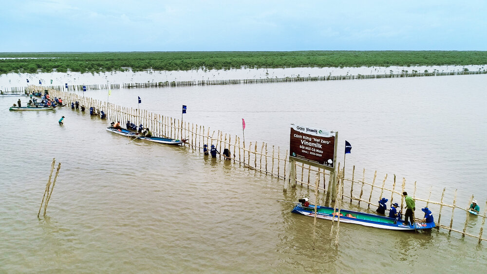 Các hoạt động trồng cây được Vinamilk triển khai đều kêu gọi sự tham gia của nhân viên, đoàn viên thanh niên, cộng đồng…Ảnh: Vinamilk