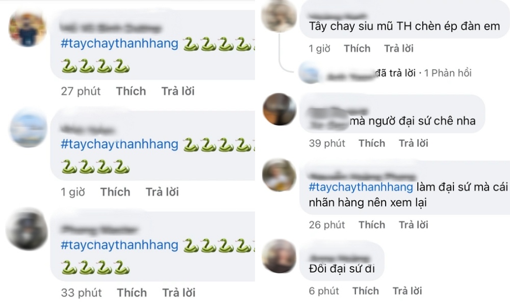 Bình luận tẩy chay Thanh Hằng mà các nhãn hàng đang phải đối mặt. Ảnh: Chụp màn hình.