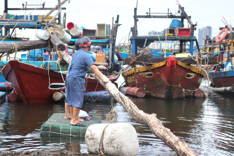 Most of the fishermen in Da Nang are middle-aged. Photo: Nguyen Linh