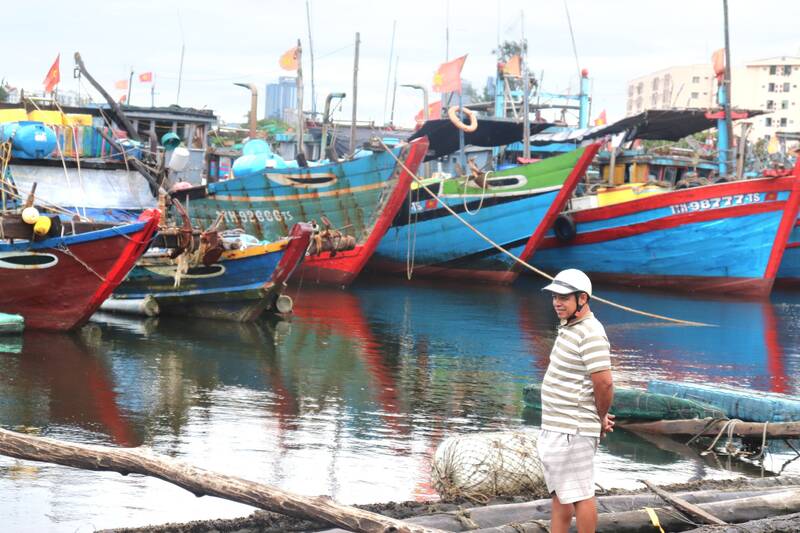Lao động biển ở Đà Nẵng khan hiếm, nhiều tàu phải nằm bờ. Ảnh: Nguyễn Linh