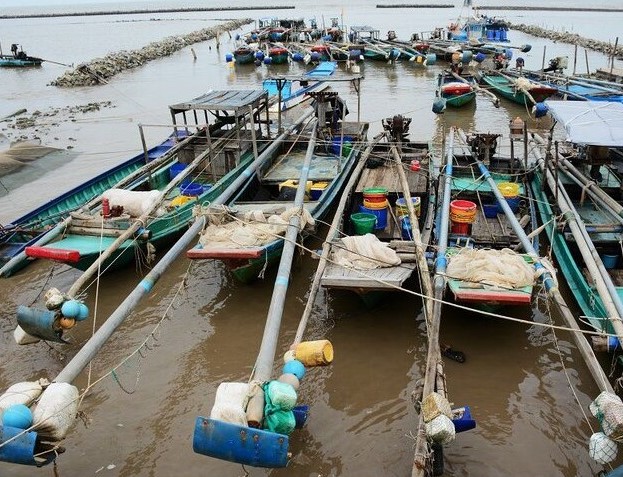 Tinh Ca Mau tang cuong kiem soat cac phuong tien danh bat thuy san, quyet tam go the vang IUU. Anh: Nhat Ho