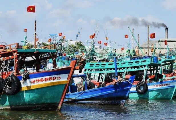 Tàu cá không đăng kiểm, tỉnh Cà Mau cấm khai thác dưới mọi hình thức. Ảnh: Nhật Hồ