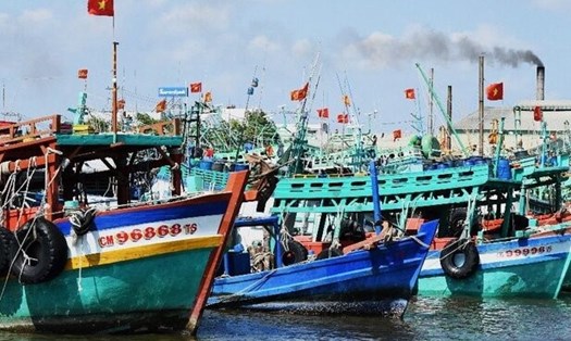 Tàu cá không đăng kiểm, tỉnh Cà Mau cấm khai thác dưới mọi hình thức. Ảnh: Nhật Hồ