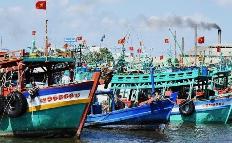 Tàu cá không đăng kiểm, tỉnh Cà Mau cấm khai thác dưới mọi hình thức. Ảnh: Nhật Hồ