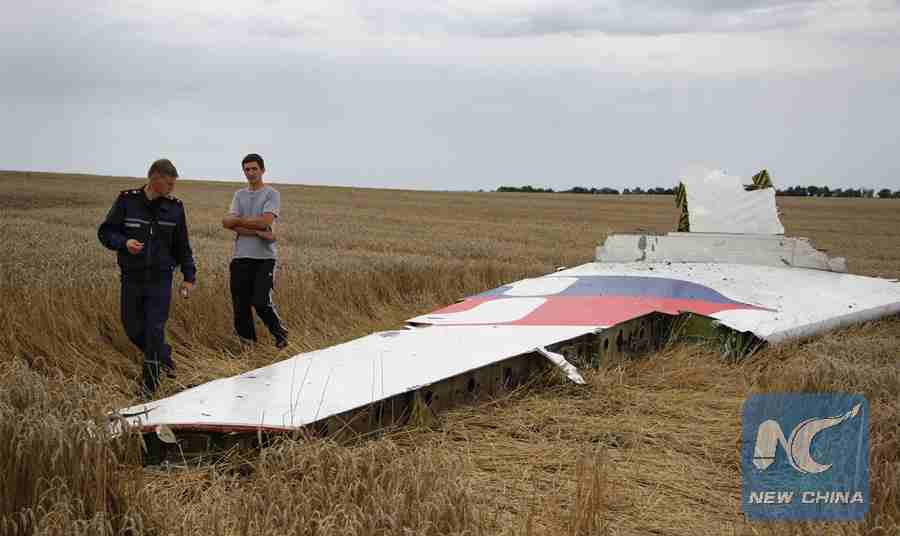 Hiện trường vụ tai nạn MH17 ở Donetsk, ngày 18.7.2014. Ảnh: Xinhua