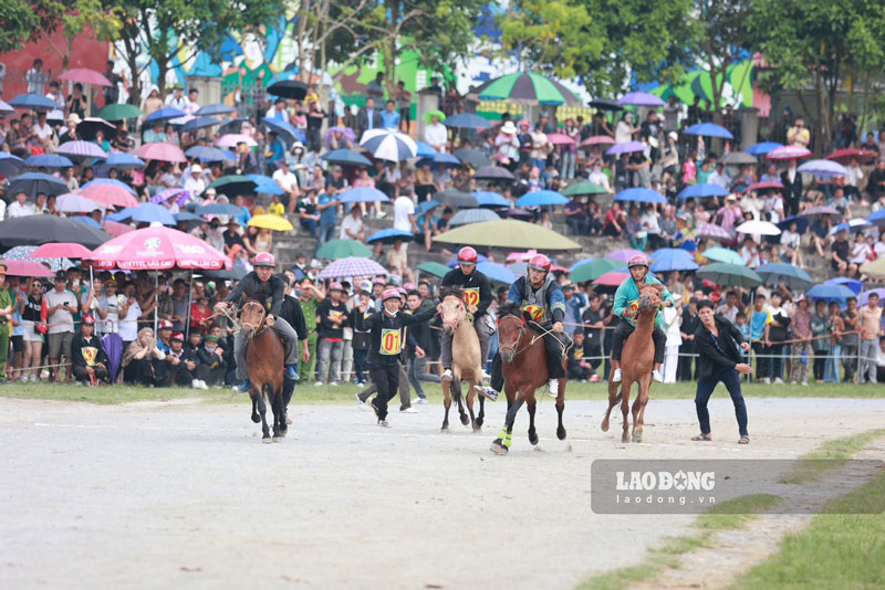 The horse racing festival in the Bac Ha White Plateau Festival in the summer of 2024 has gathered tens of thousands of local people and tourists from all over to attend and cheer. Photo: Bao Nguyen