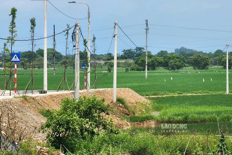 Với diện tích rộng lớn hàng chục ha, 358 hộ phải thu hồi đất, quá trình giải phóng mặt bằng dự án đã từng gặp không ít khó khăn. Ngày 30.11.2023, huyện Lâm Thao đã tổ chức cưỡng chế thu hồi đất áp dụng đối với 1 hộ dân ở khu Ngọc Tỉnh, thị trấn Lâm Thao do không nhận tiền đền bù và bàn giao mặt bằng cho đơn vị thi công.